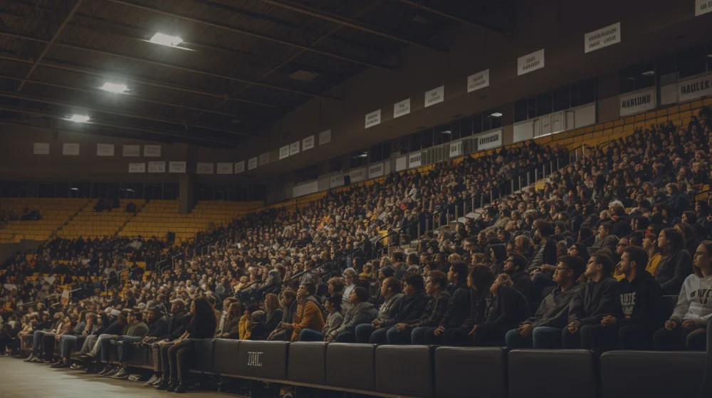 Hive Arena: Bina Buzzar i Sektionerna med Otrolig Kapacitet och Coola Platser